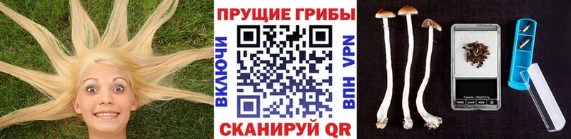 Псилоцибиновые грибы Cubensis  mega ССЫЛКА  Петровск-Забайкальский 