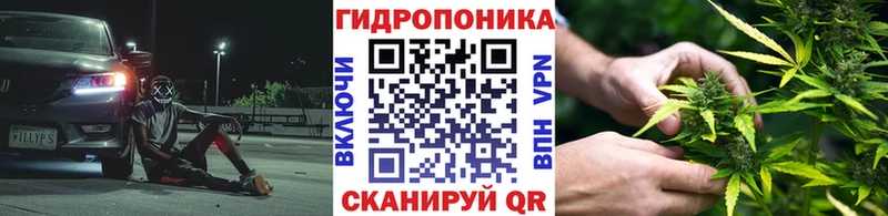 цены наркотик  Петровск-Забайкальский  Бошки марихуана AK-47 